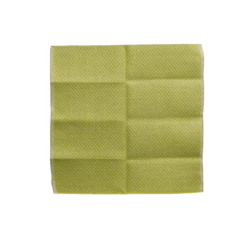 Lime Green Dish Cloth