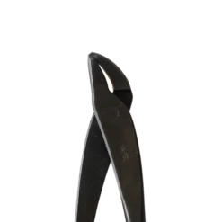 Bonsai 170mm Jin Pliers -Phillip and Lea Store KANESHIN No 509 F L adj